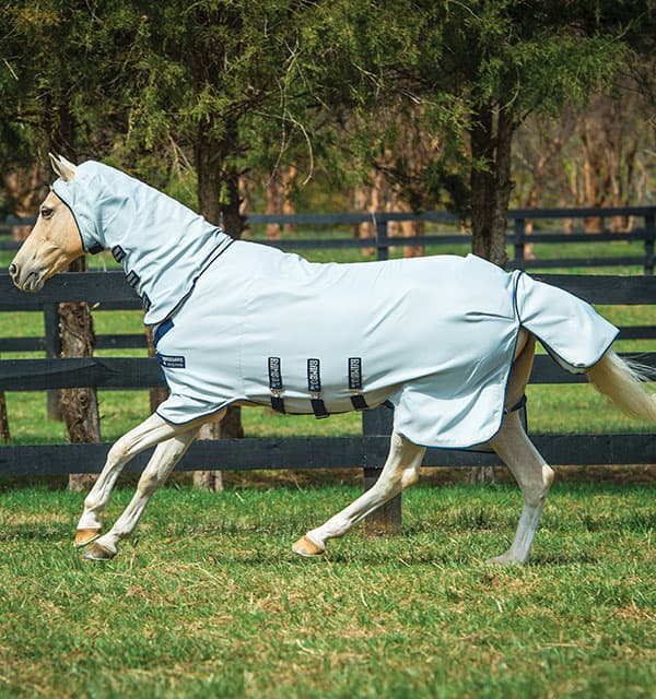 RAMBO Rambo Hoody Pony