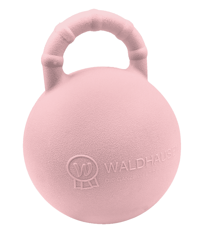HARRY'S HORSE Waldhausen Speelball met Aardbeiensmaak Pink 25cm 