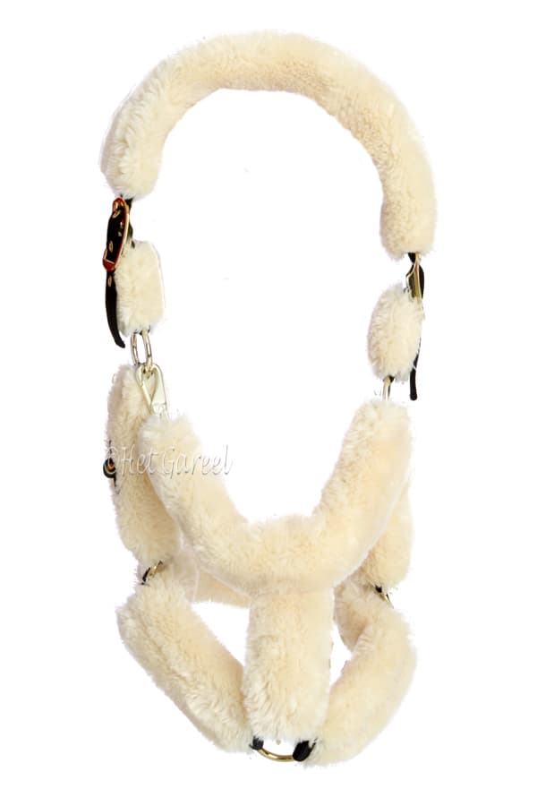 KENTUCKY HORSEWEAR Kentucky Transport Halster