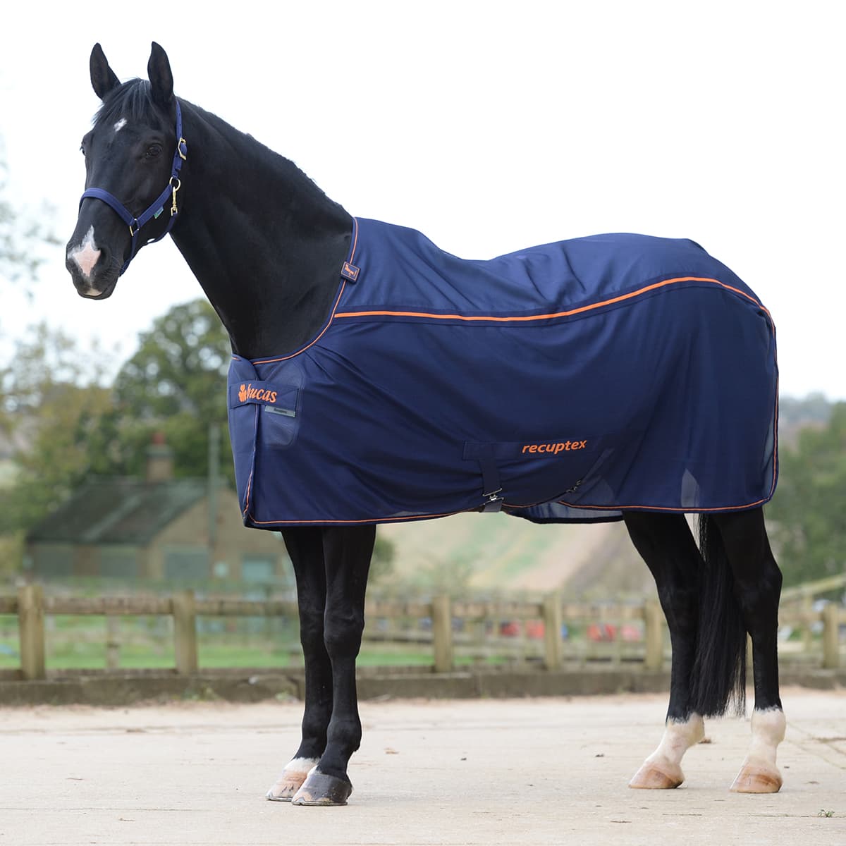 BUCAS Bucas Therapy Mesh Cooler Deken