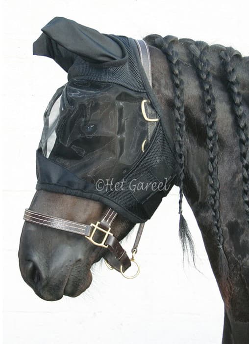 HARRY'S HORSE Harry's Horse Flyshield Masker