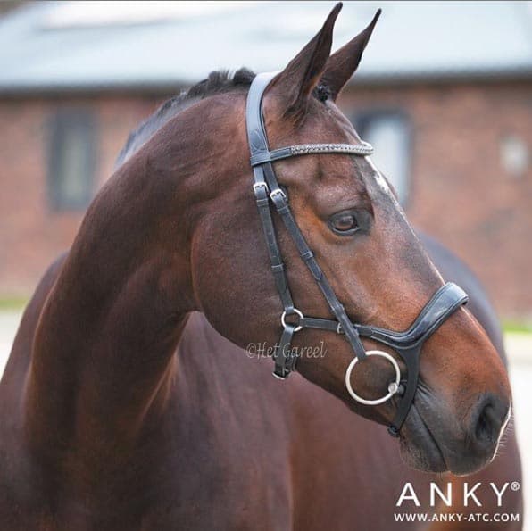 ANKY Anky Hoofdstel Comfort Fit Dropped Ath18011