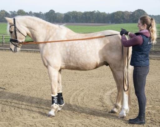 BUSSE LANGE TEUGEL 3,5mtr. lichtbruin