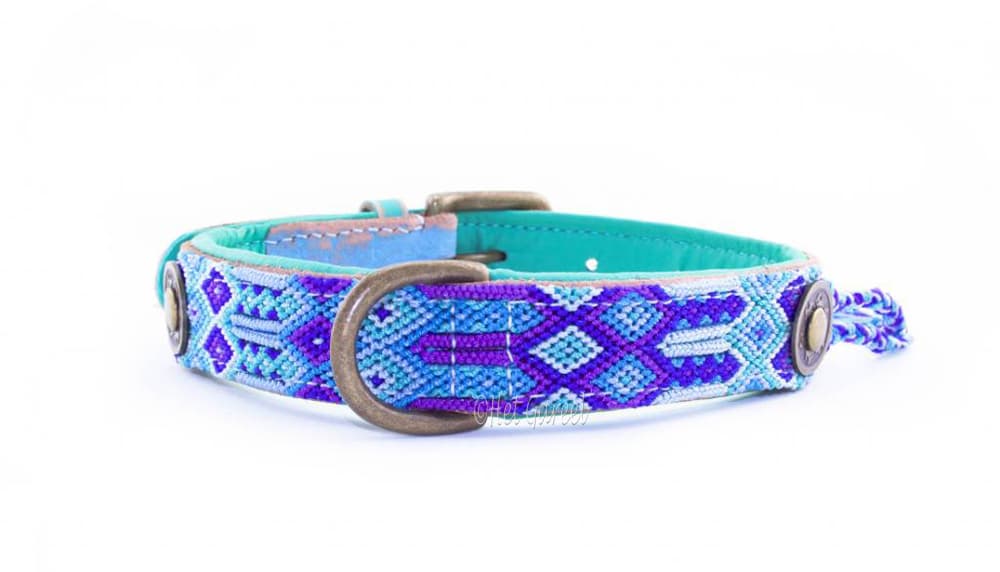 DWAM Dwam Honden Halsband Blue 2,5cm
