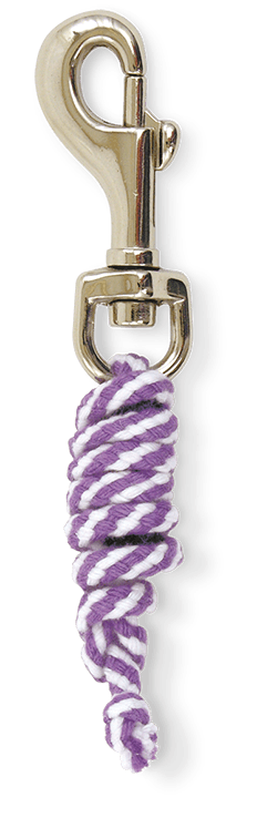 CRAFTY PONIES Crafty Ponies Halster Touw