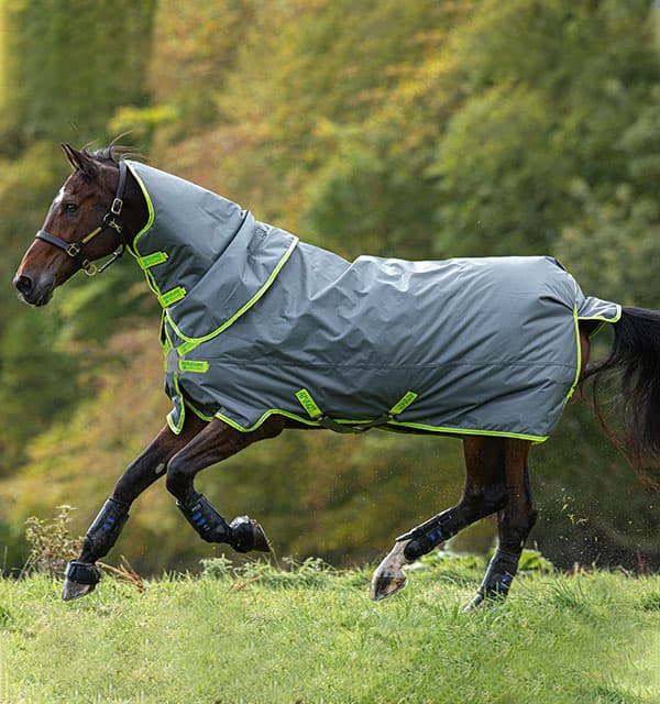 HORSEWARE Amigo Hero Plus Lite 900d