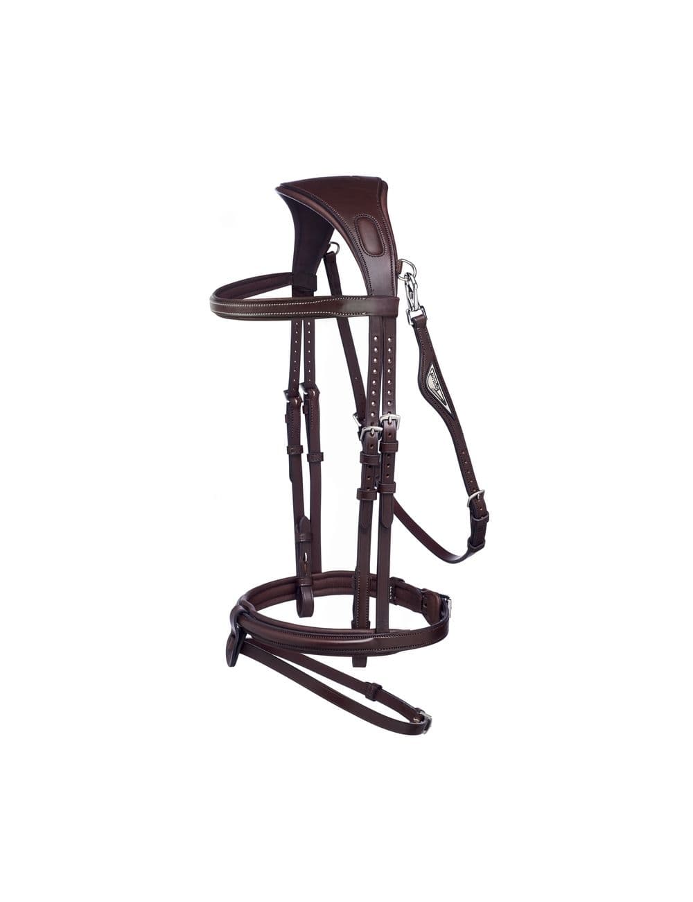 EQUILINE ANATOMICAL.