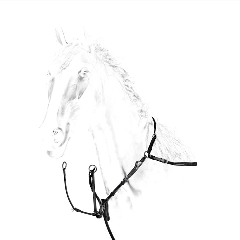 EQUILINE Equiline Voortuig BJ202