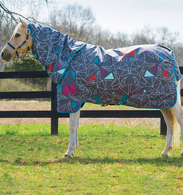 AMIGO PONY PLUS LITE 0gr