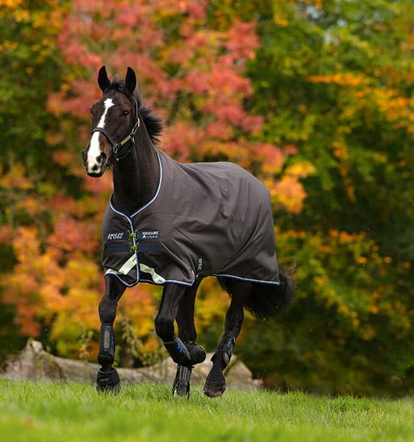HORSEWARE Amigo Bravo Pony Medium 1200d