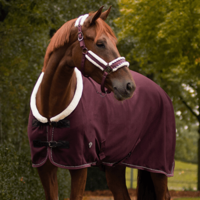 QHP Qhp Diamond Showdeken