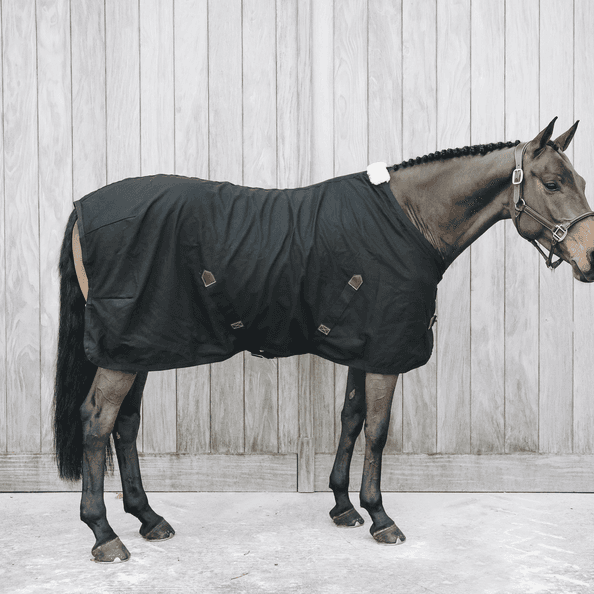 KENTUCKY HORSEWEAR Kentucky Horsewear Cotton Sheet