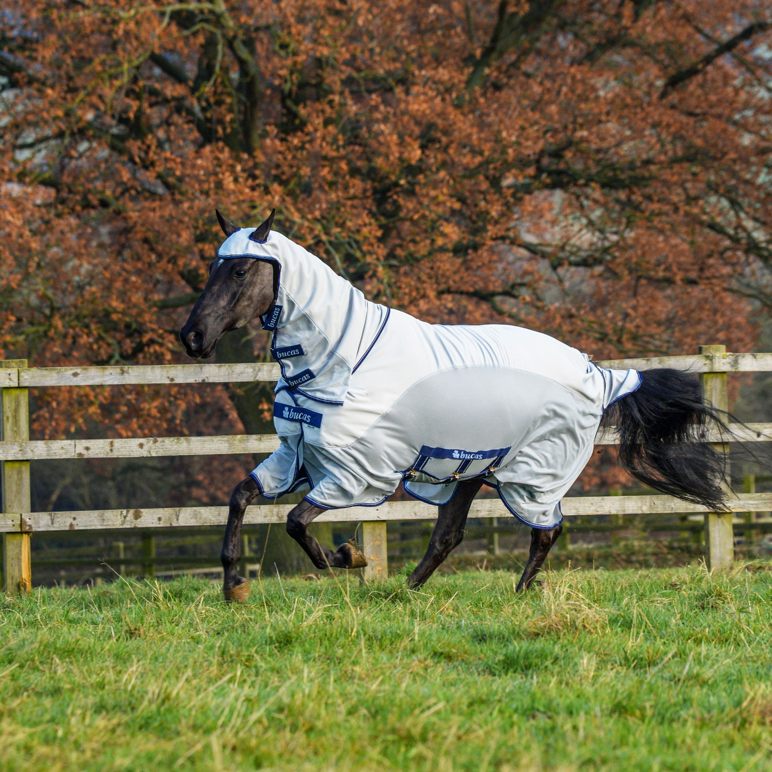 BUCAS Bucas Sweet-Itch X Light