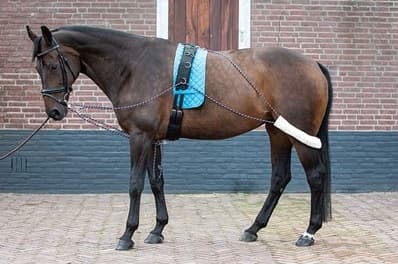 HARRY'S HORSE Harry's Horse Pessoa Longeer Hulpteugel