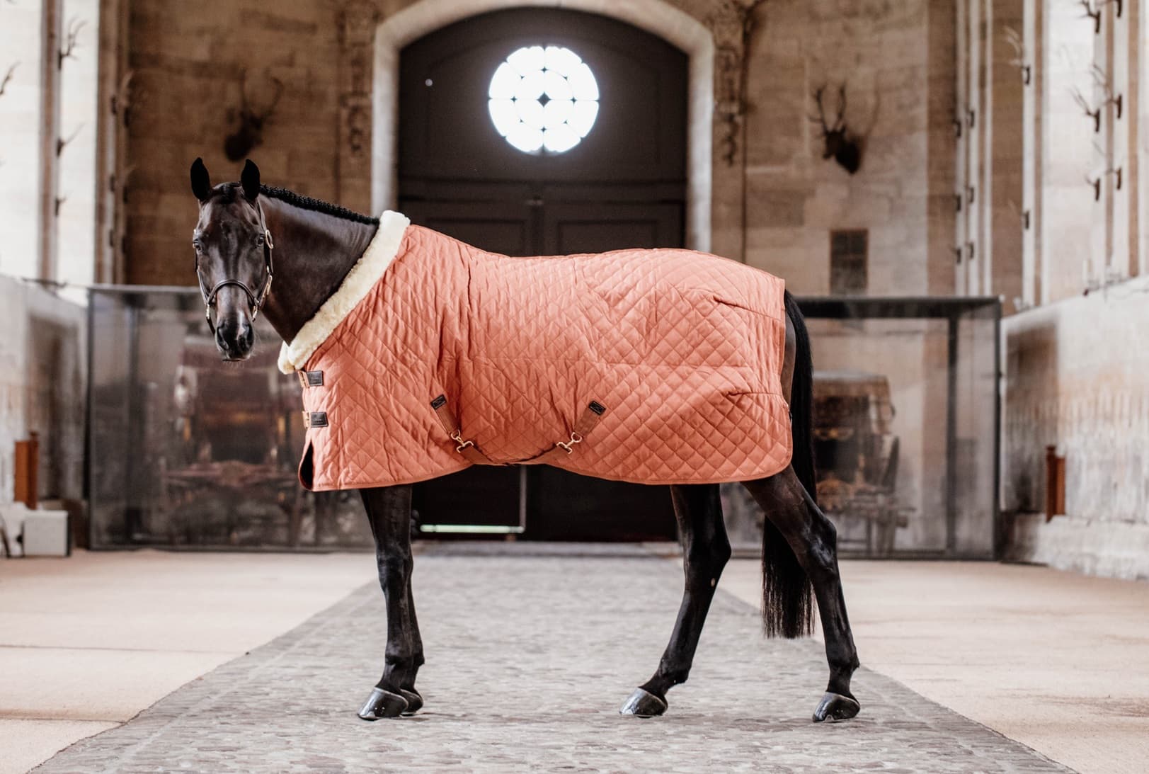 KENTUCKY HORSEWEAR Kentucky Horsewear Showdeken Herfst Oranje