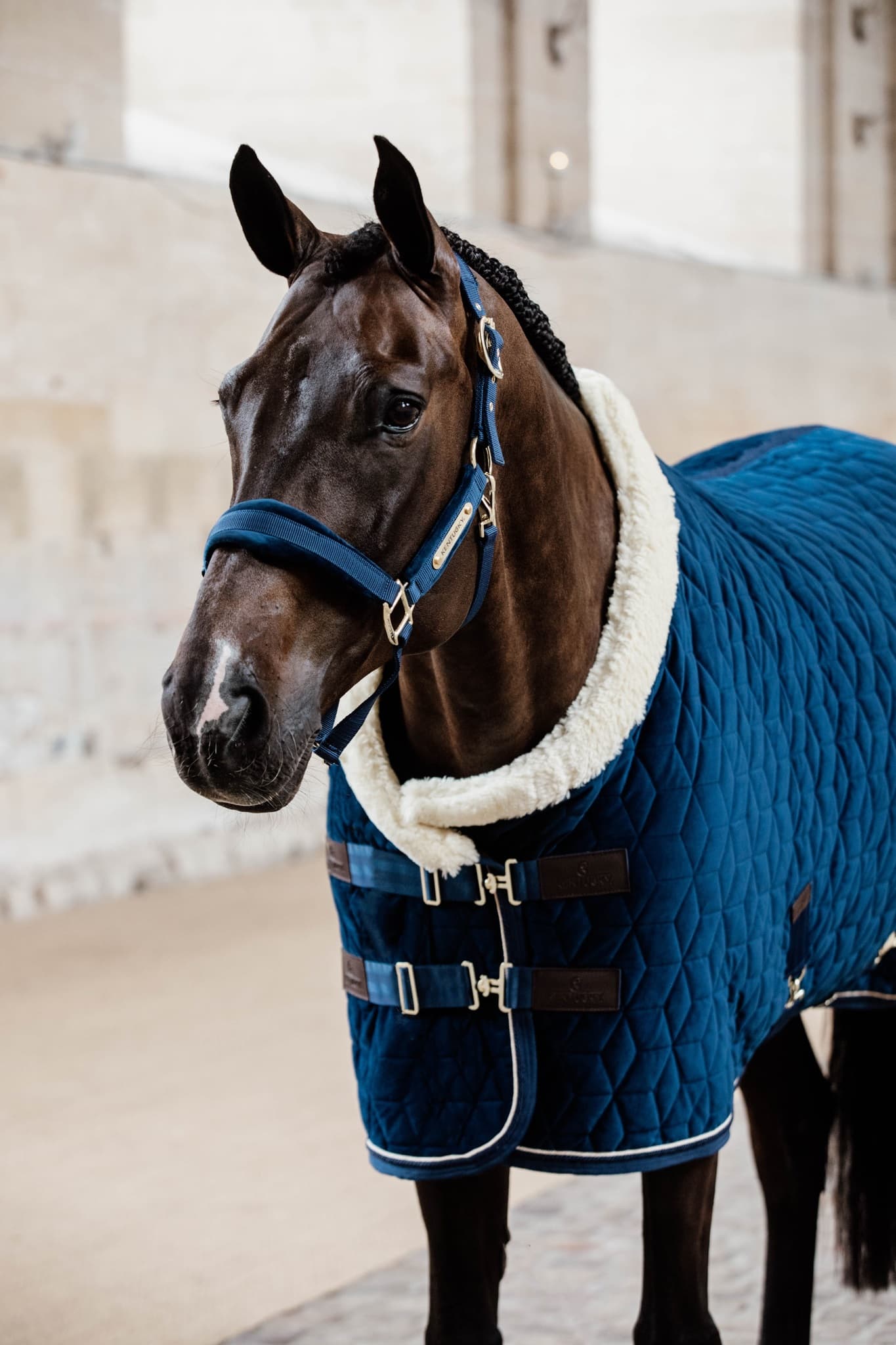KENTUCKY HORSEWEAR Kentucky Horsewear Velvet Halster Marine