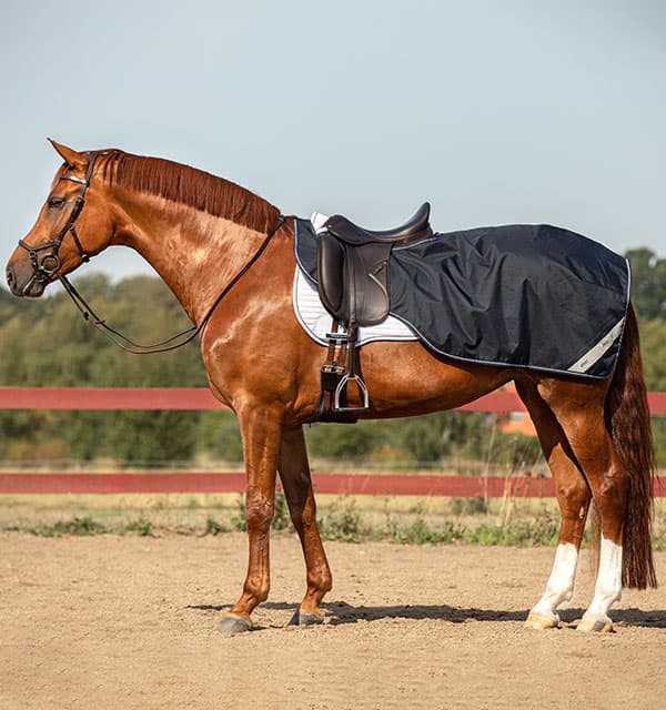 HORSEWARE Amigo Ripstop Competition Sheet Uitrijdeken
