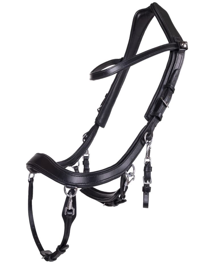 Presteq Faysport Hoofdstel
