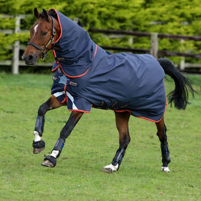HORSEWARE Amigo Bravo Plus 100g Disc. 1200d