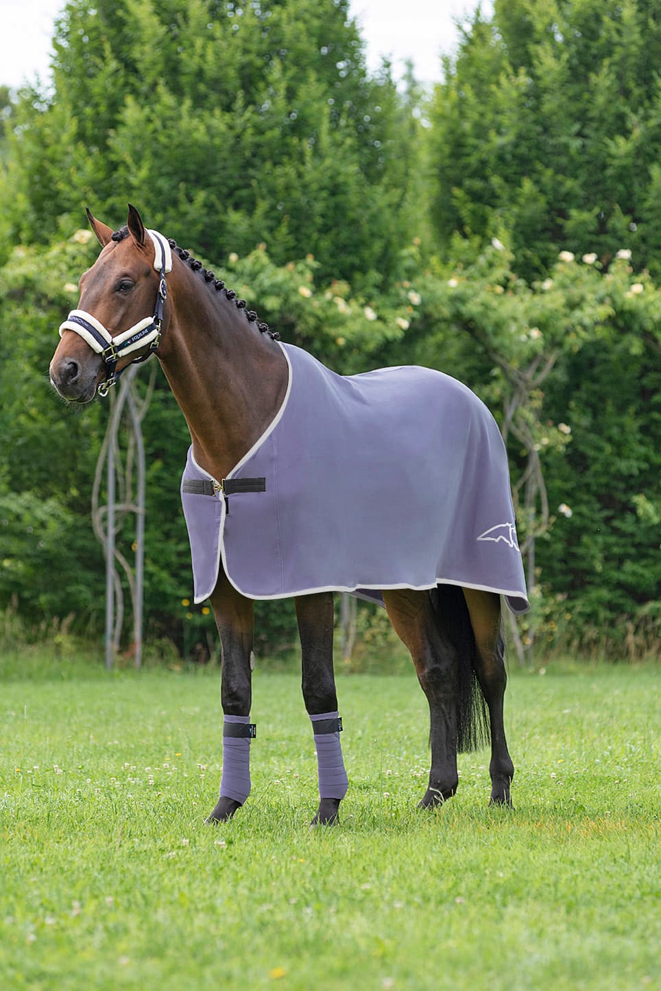 EQUILINE Equiline Codic Polar Tech Fleece Deken Lavander