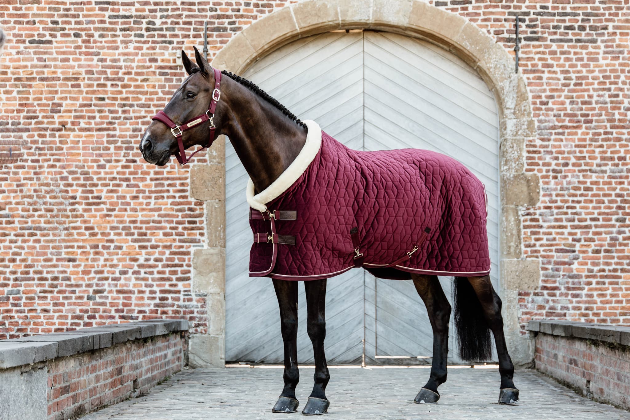 KENTUCKY HORSEWEAR Kentucky Horsewear Showdeken Velvet Bordeaux