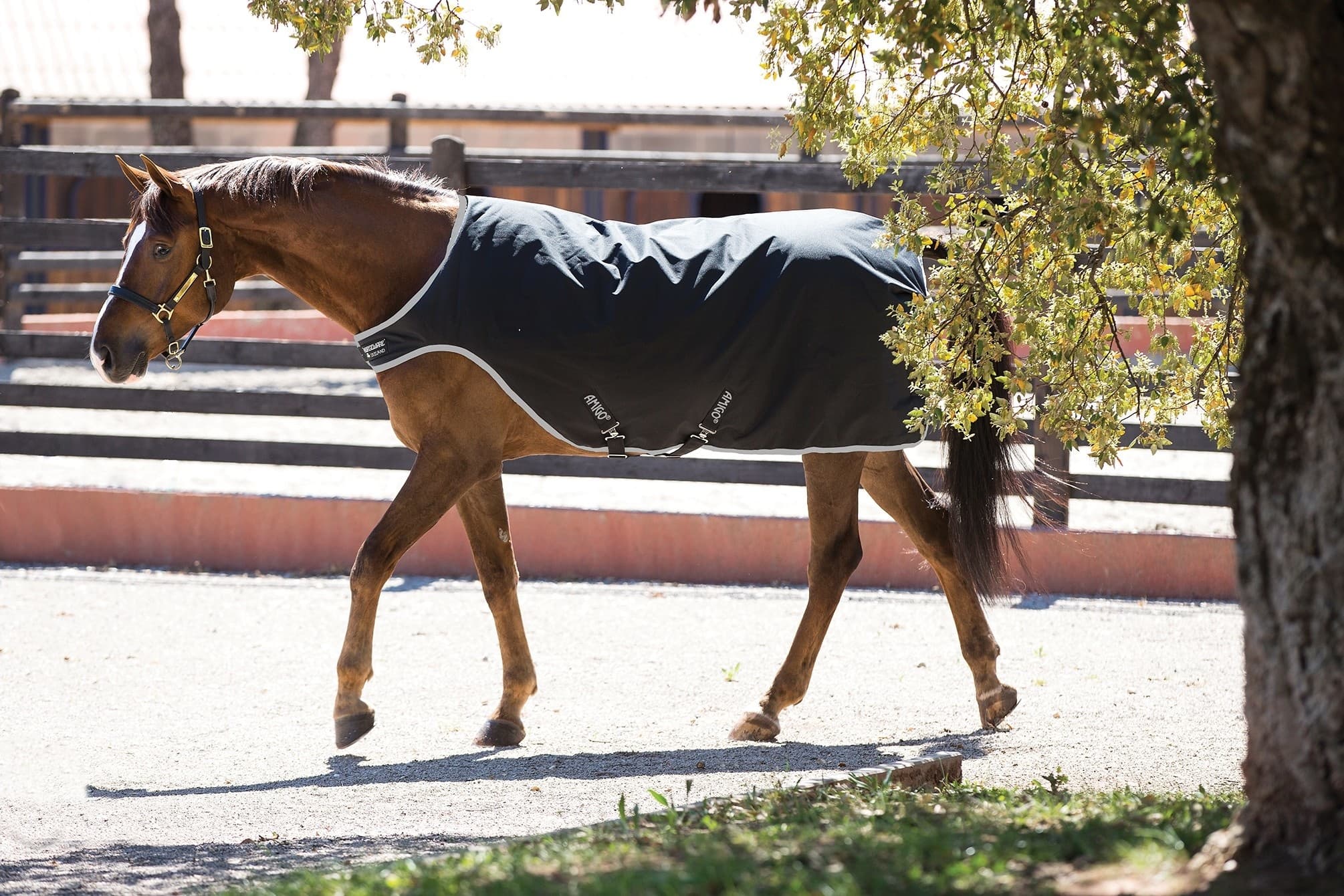 HORSEWARE Amigo Walker 200g