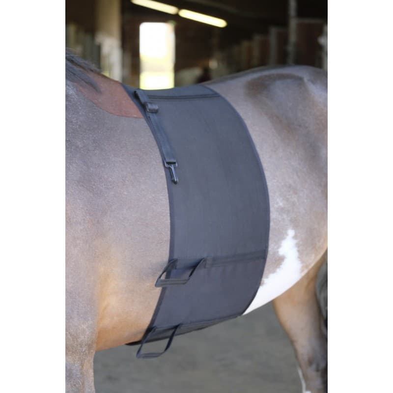 NORTON Norton Bodybandage