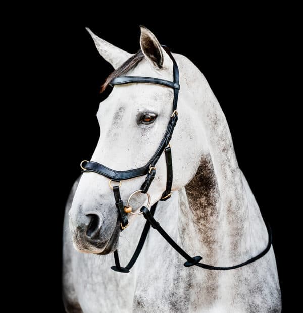 HORSEWARE Horseware Micklem 2 Multi Bridle