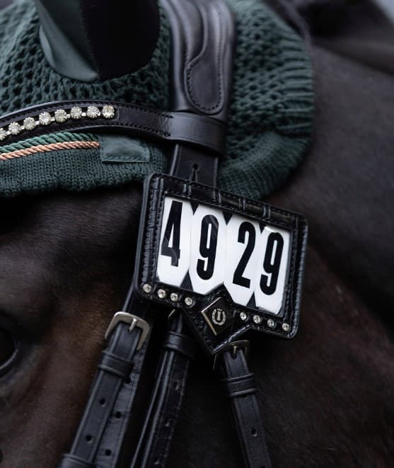 IMPERIAL RIDING SHOW AND GLOW STARTNUMMER