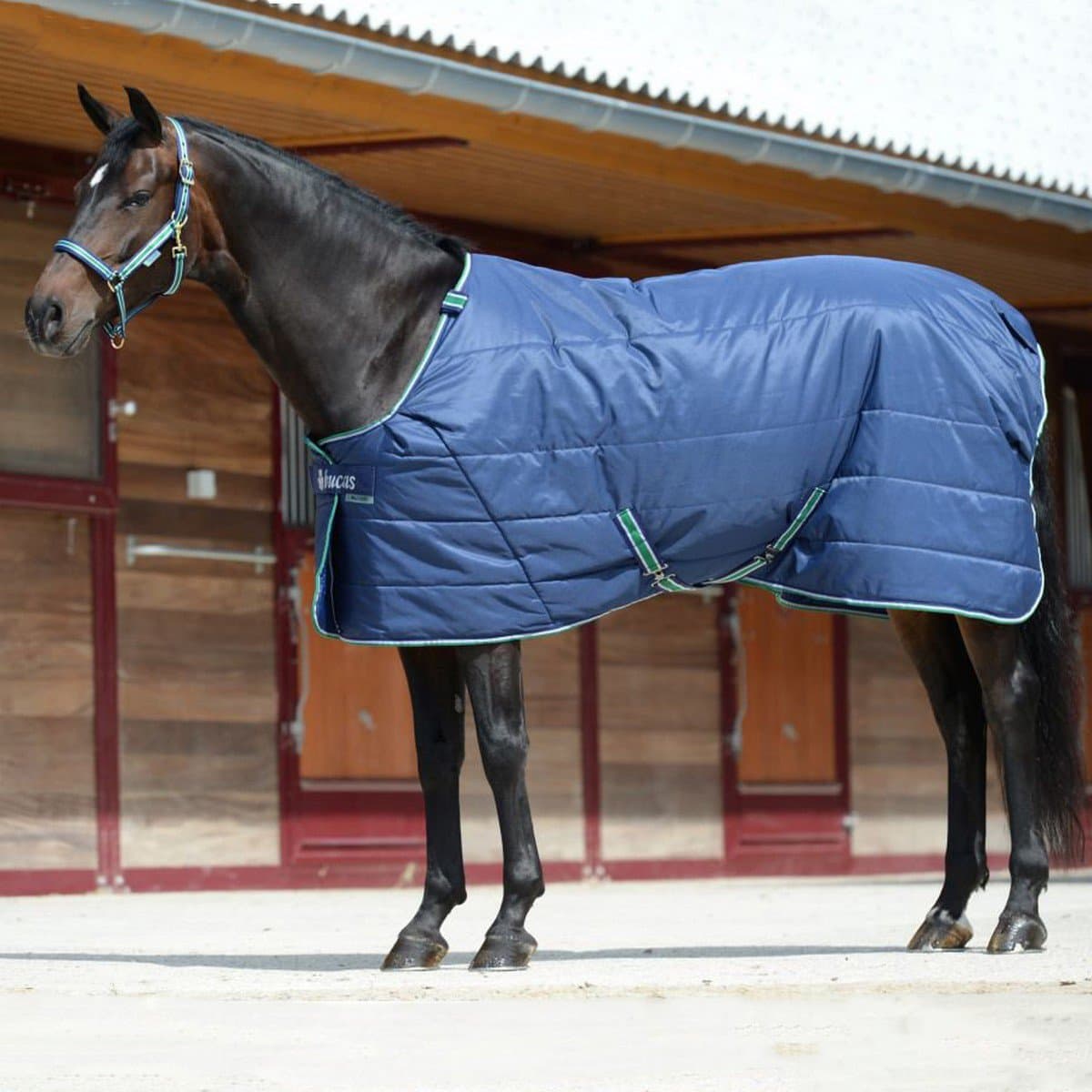 BUCAS Bucas liner Quilt Deken 150 Silk Feel