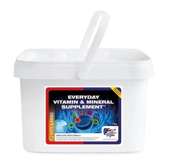 EQUINE AMERICA Equine America Everyday Vitamin & Mineral