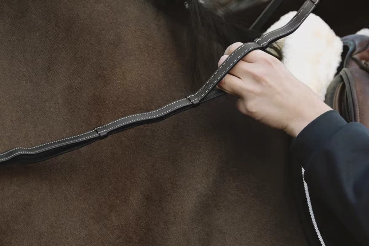 KENTUCKY HORSEWEAR Dyon Teugel Leer Met Handgrepen
