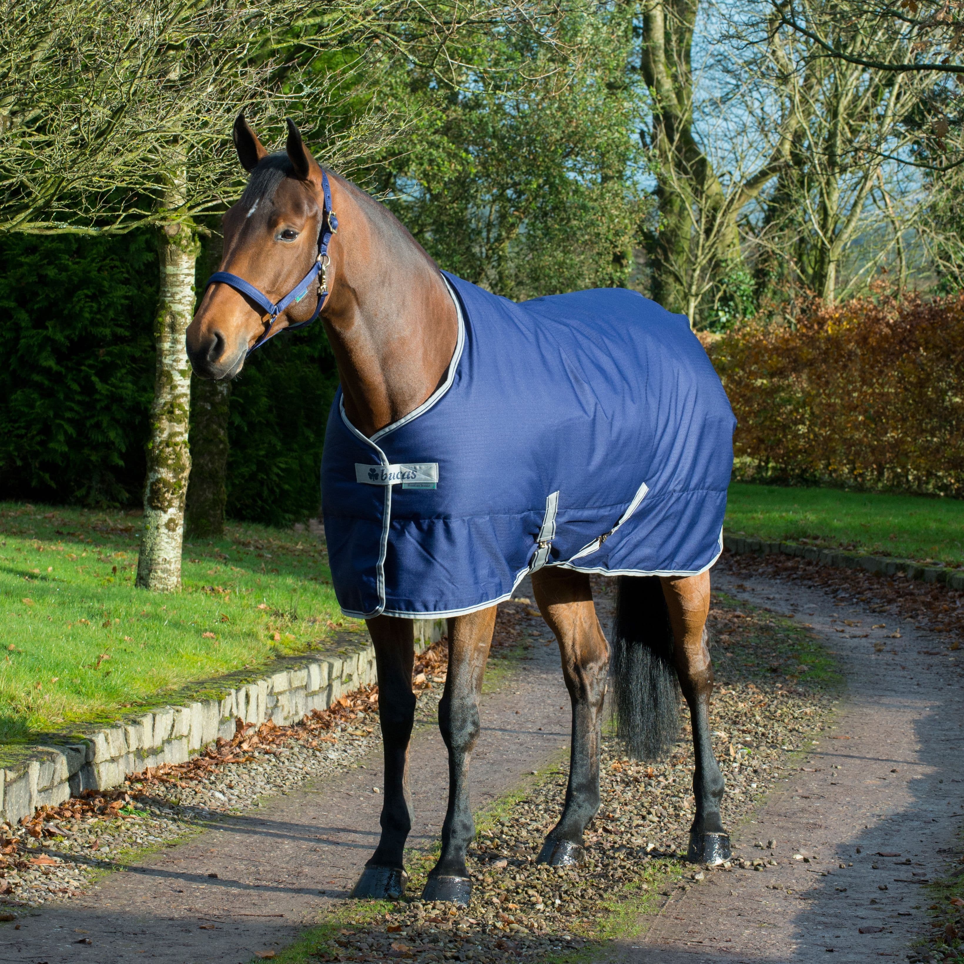 BUCAS Bucas Freedom Stable 150g