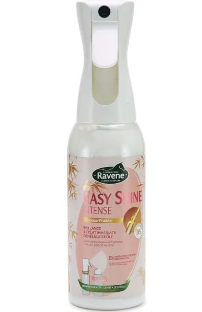 EKKIA Ravene Easy Shine Intense Spray 500ml