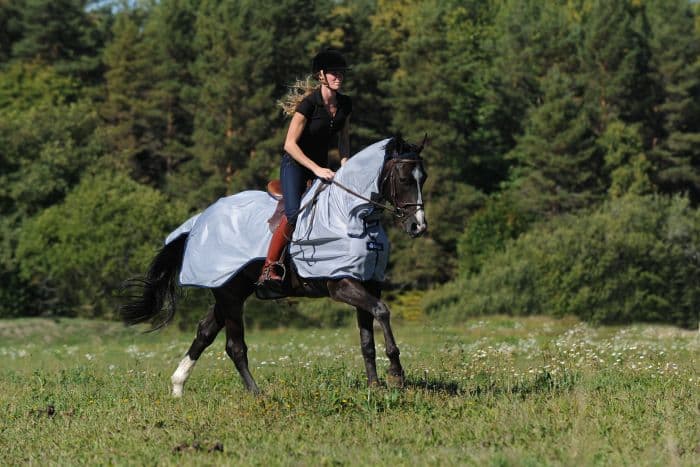 BUCAS Bucas Buzz-Off Riding Uitrijvliegendeken