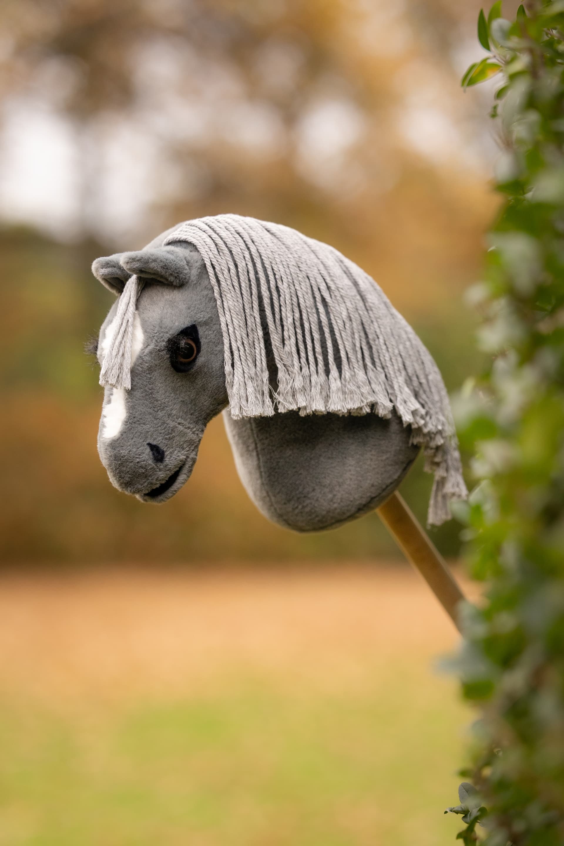 Le Mieux Hobby Horse Mini 