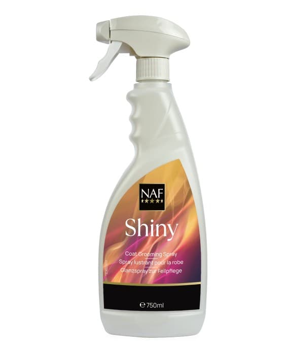 NAF NAF Shiny Spray 750ml 