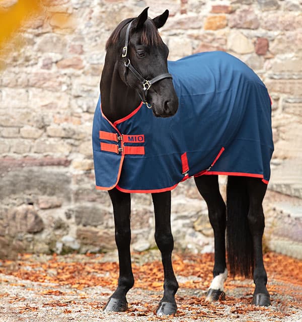 AMIGO MIO STABLE SHEET 