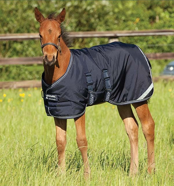 HORSEWARE Amigo Veulen Deken Medium 200g