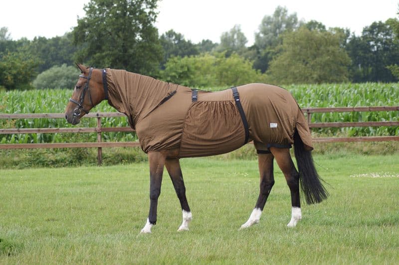 QHP ECZEEMDEKEN MET HALS SU2013