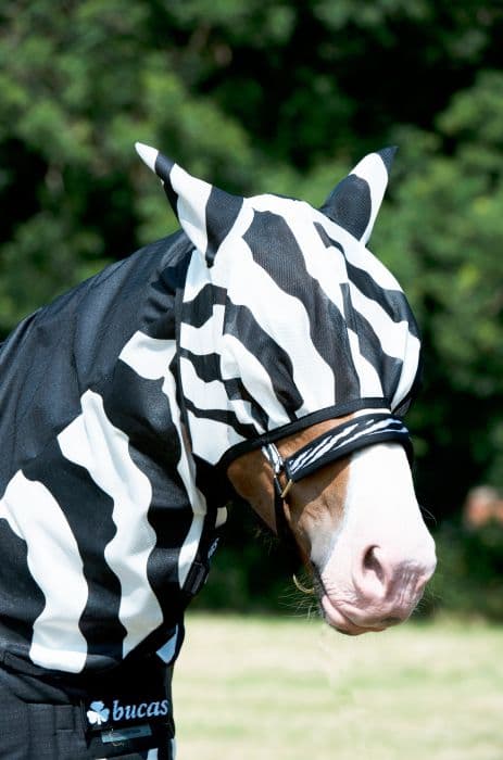 BUCAS Bucas Buzz-Off Zebra Fly Mask