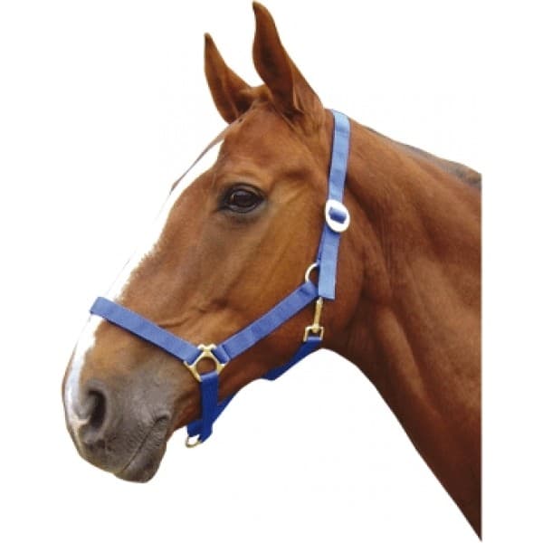CHAMBERLAIN HALSTER NYLON SCHUIF KOPER