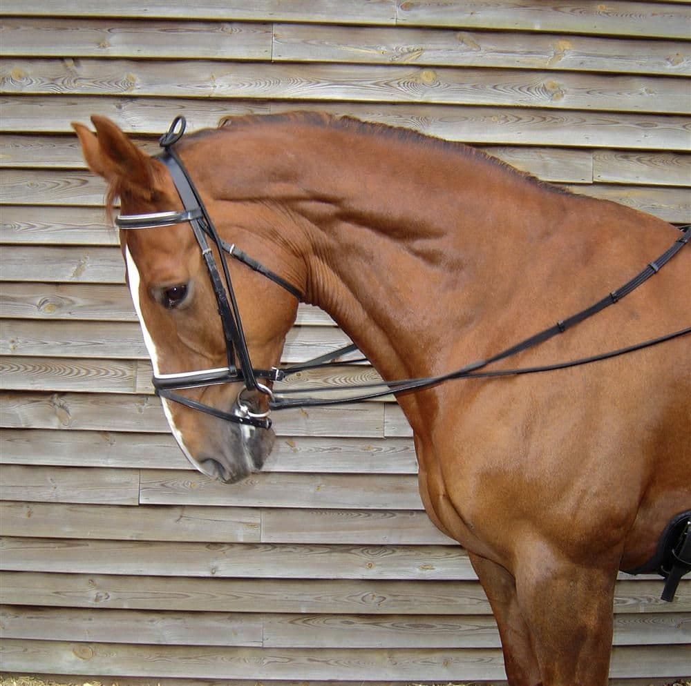 HARRY'S HORSE Harry's Horse Halsverlenger Elastisch