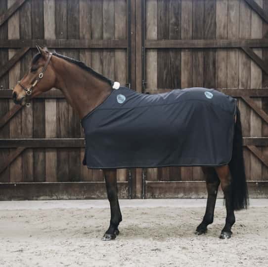 KENTUCKY HORSEWEAR Kentucky Horsewear Magnetic Rug Recuptex