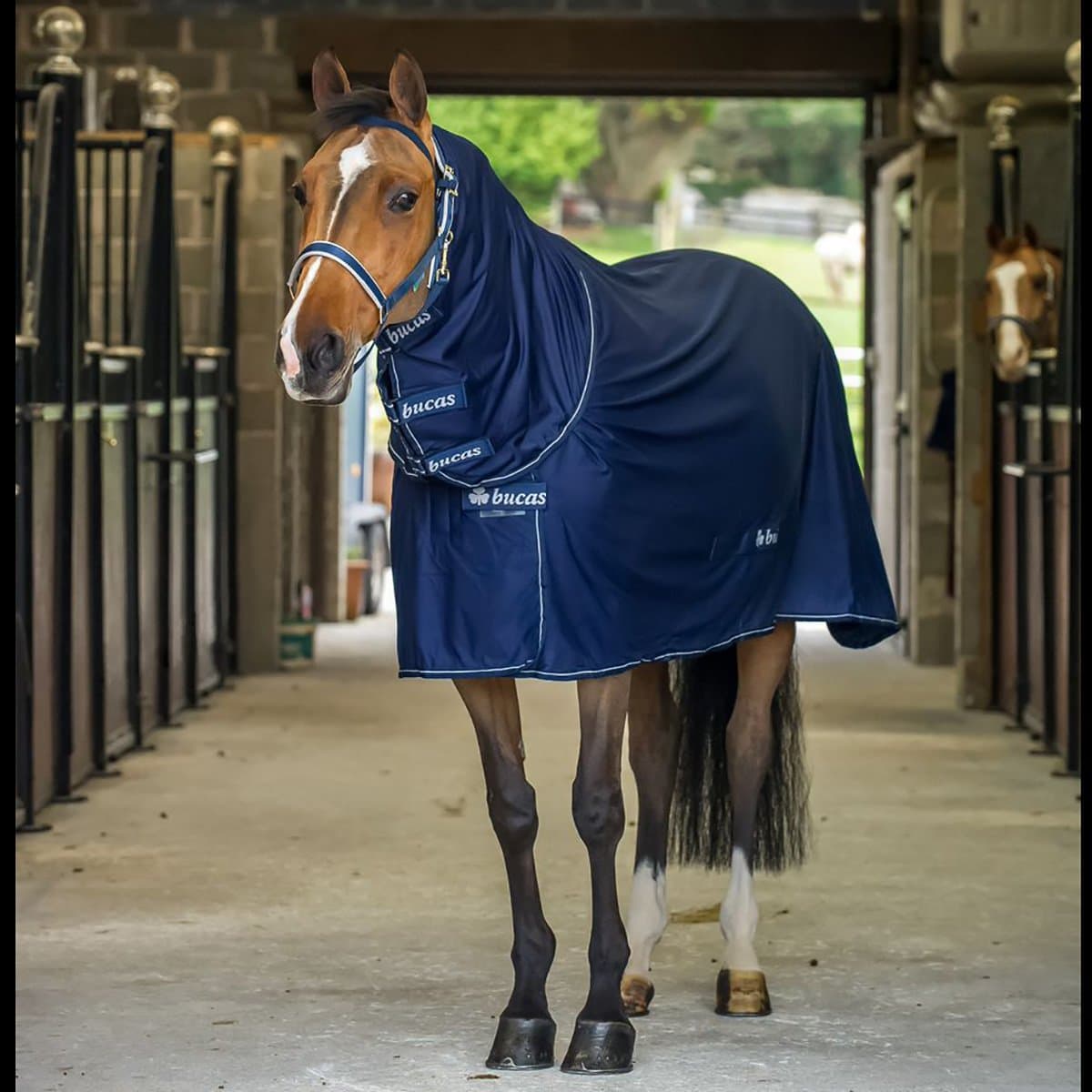 BUCAS POWER COOLER & NECK