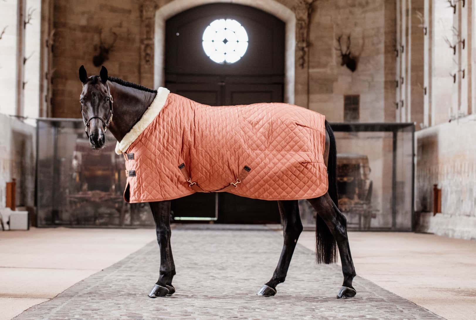 KENTUCKY HORSEWEAR Kentucky Horsewear Showdeken Herfst Oranje