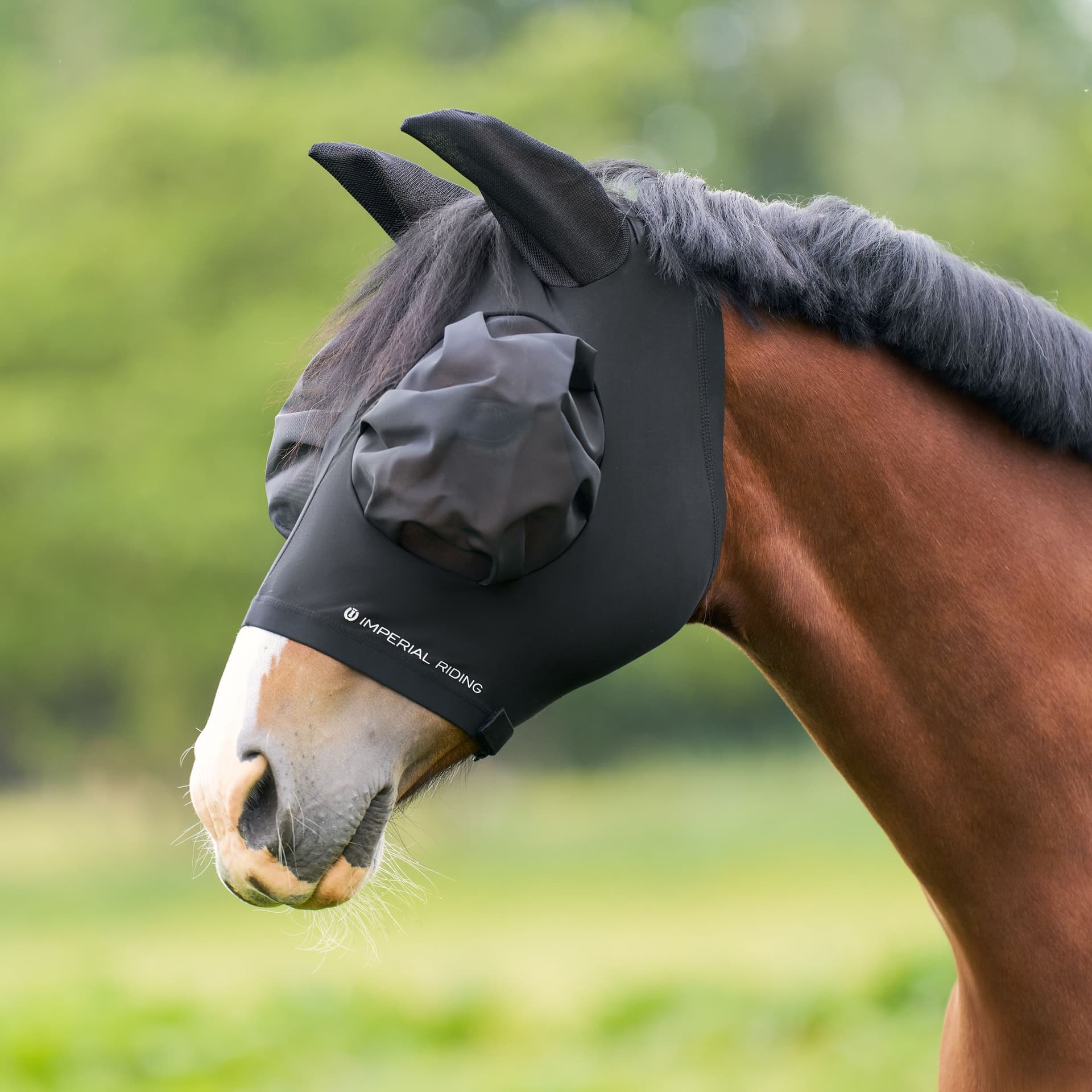 Nee