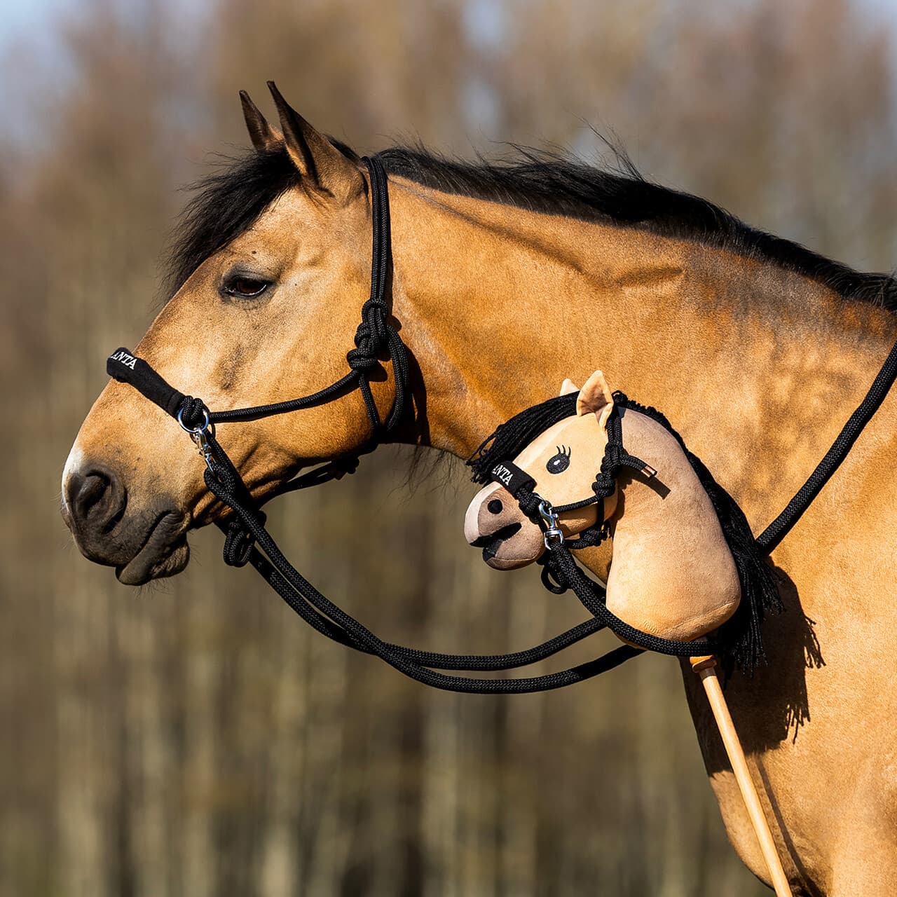 QHP QHP Nalanta Touwhalster met teugel Hobby Horse