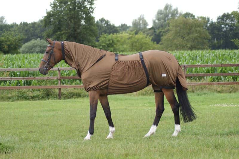 QHP Qhp Eczeemdeken Met Hals Standaard